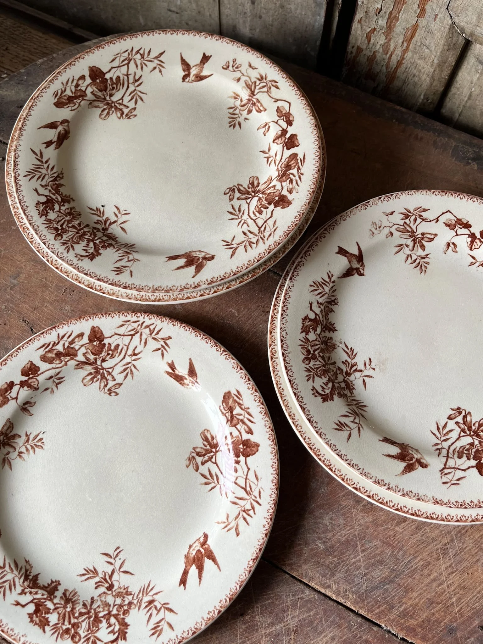 Antique Terre de Fer French Ironstone Plate | Sepia Florals